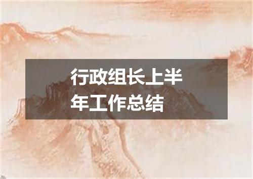 行政组长上半年工作总结