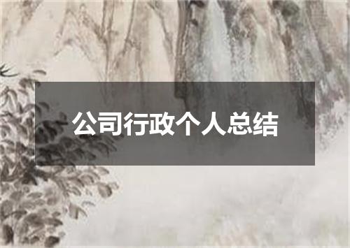 公司行政个人总结