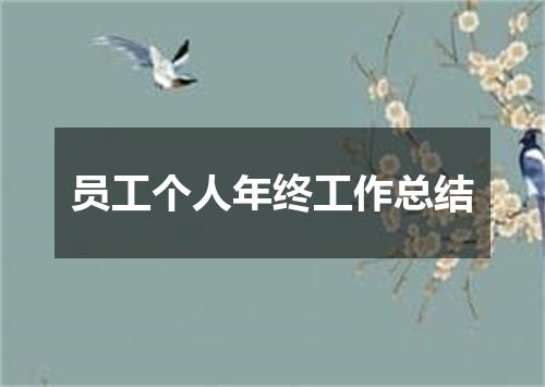 员工个人年终工作总结