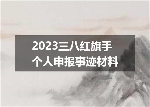 2023三八红旗手个人申报事迹材料