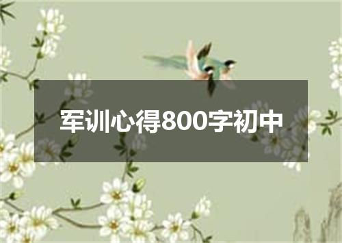 军训心得800字初中