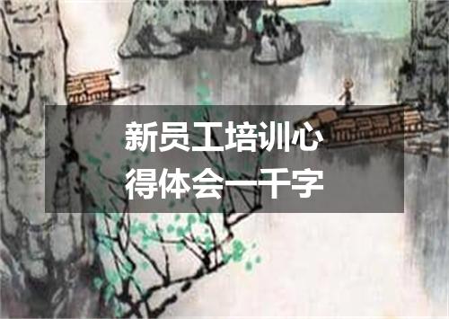 新员工培训心得体会一千字