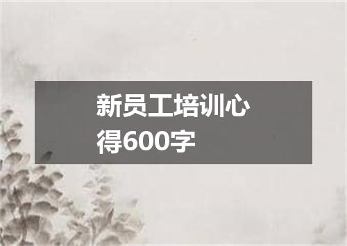 新员工培训心得600字