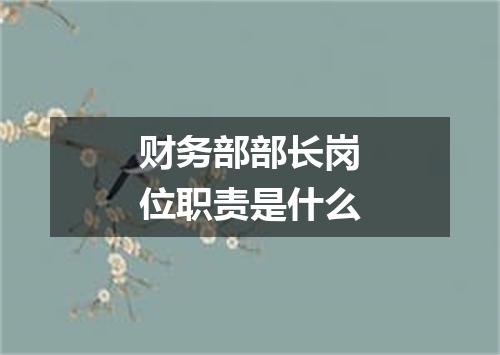 财务部部长岗位职责是什么