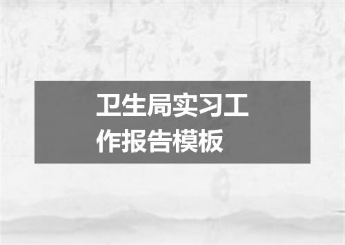 卫生局实习工作报告模板