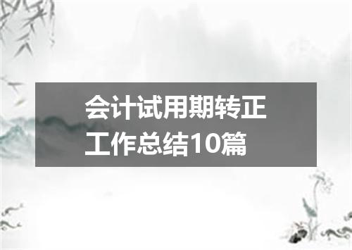 会计试用期转正工作总结10篇