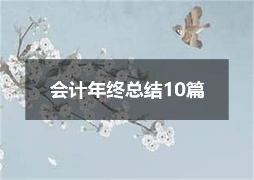 会计年终总结10篇