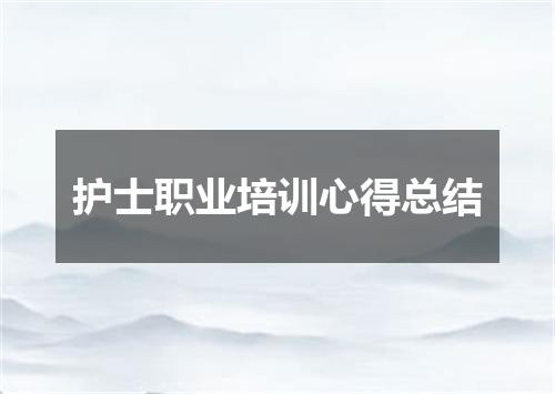 护士职业培训心得总结