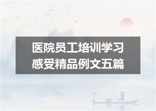 医院员工培训学习感受精品例文五篇