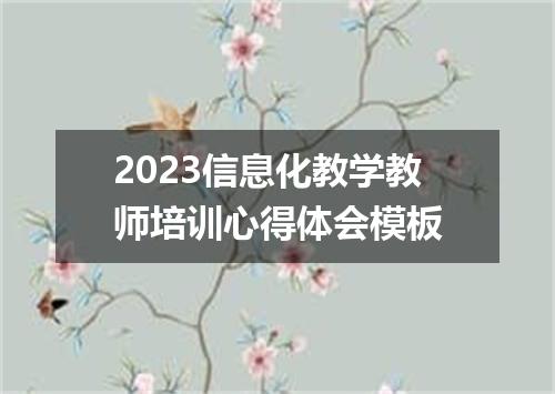 2023信息化教学教师培训心得体会模板