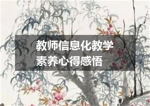 教师信息化教学素养心得感悟