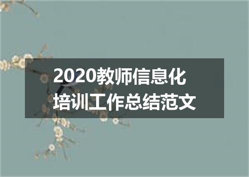 2020教师信息化培训工作总结范文