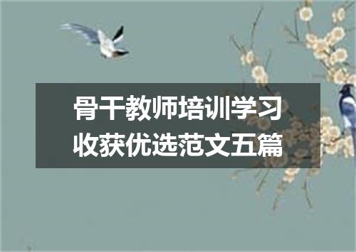 骨干教师培训学习收获优选范文五篇