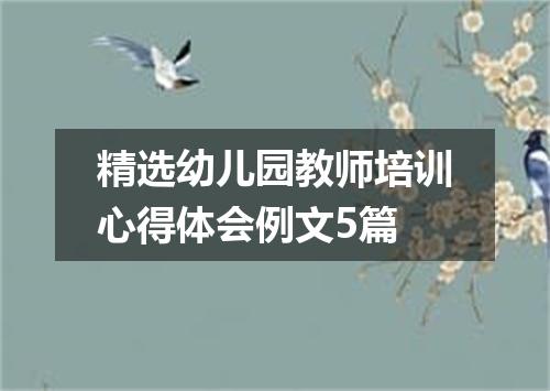 精选幼儿园教师培训心得体会例文5篇