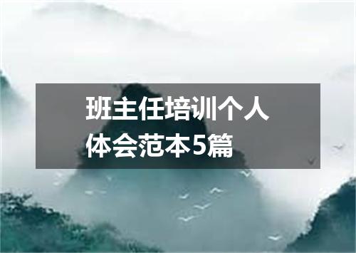 班主任培训个人体会范本5篇