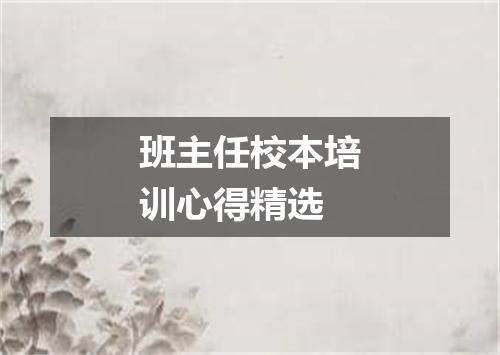 班主任校本培训心得精选