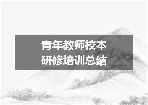 青年教师校本研修培训总结