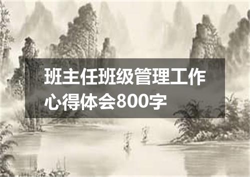 班主任班级管理工作心得体会800字