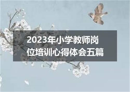 2023年小学教师岗位培训心得体会五篇