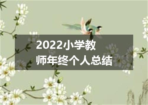 2022小学教师年终个人总结