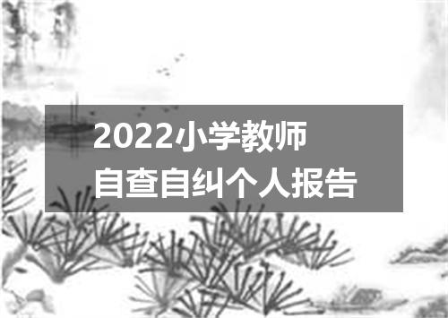 2022小学教师自查自纠个人报告