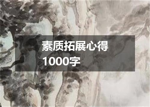 素质拓展心得1000字
