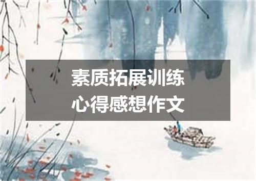 素质拓展训练心得感想作文