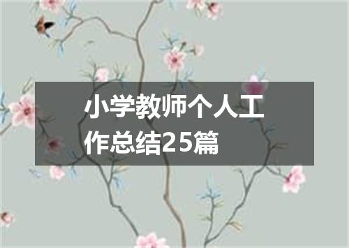 小学教师个人工作总结25篇