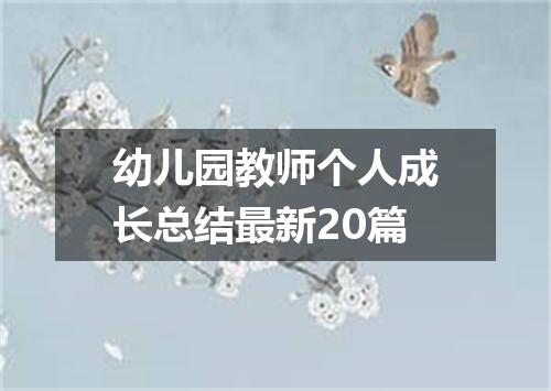 幼儿园教师个人成长总结最新20篇