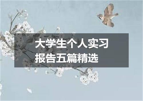 大学生个人实习报告五篇精选
