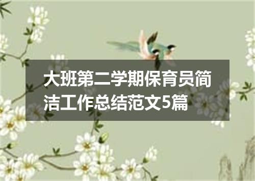 大班第二学期保育员简洁工作总结范文5篇