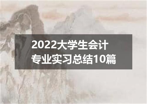 2022大学生会计专业实习总结10篇