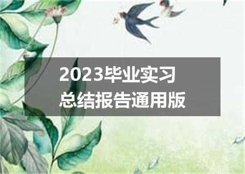 2023毕业实习总结报告通用版