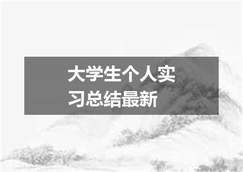 大学生个人实习总结最新