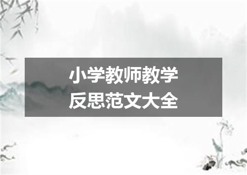 小学教师教学反思范文大全