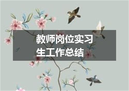 教师岗位实习生工作总结