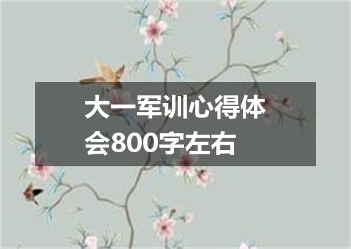大一军训心得体会800字左右