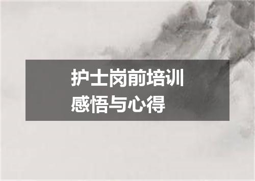护士岗前培训感悟与心得