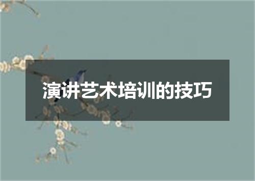 演讲艺术培训的技巧