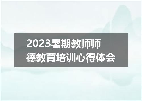 2023暑期教师师德教育培训心得体会