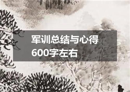 军训总结与心得600字左右