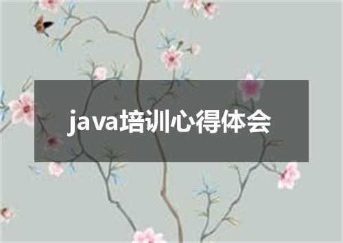 java培训心得体会