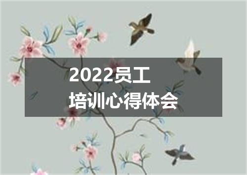 2022员工培训心得体会