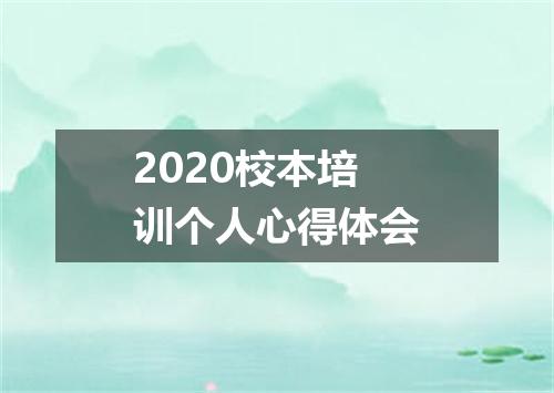 2020校本培训个人心得体会