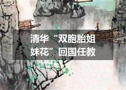 清华“双胞胎姐妹花”回国任教