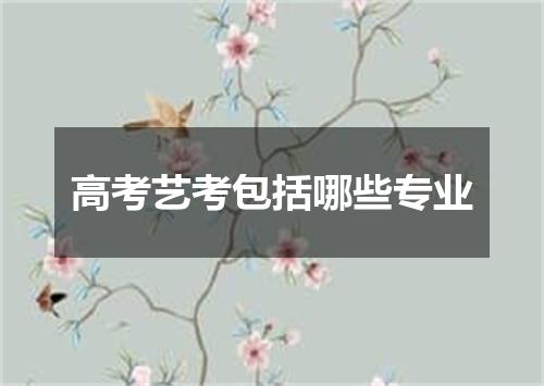 高考艺考包括哪些专业