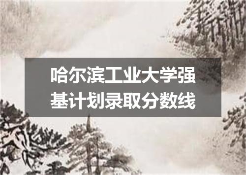 哈尔滨工业大学强基计划录取分数线