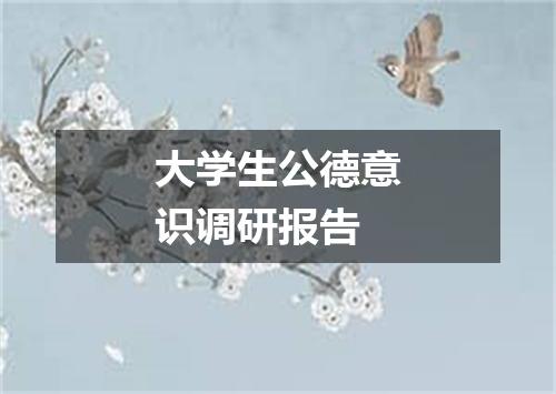 大学生公德意识调研报告