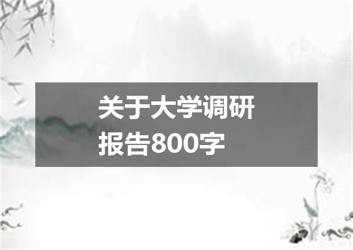 关于大学调研报告800字