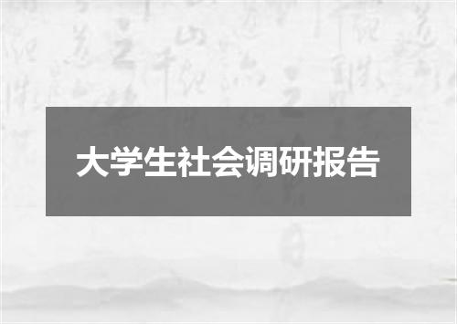 大学生社会调研报告